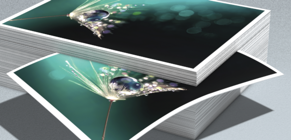 USP-Cocoon-print-580x2802.png