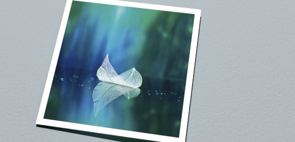 USP-Cocoon-white-580x280.png