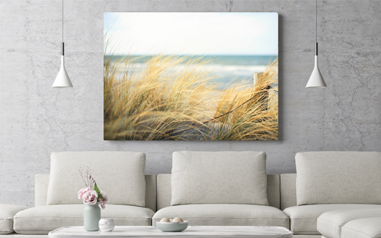534x334_Canvas.jpg