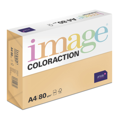 Image Coloraction