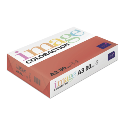 Image Coloraction