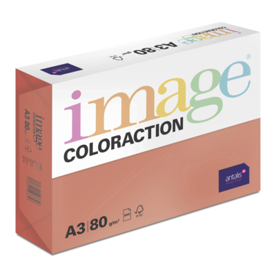 Image Coloraction