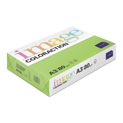 Image Coloraction