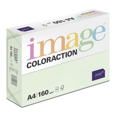 Image Coloraction