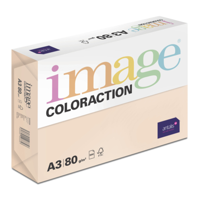 Image Coloraction