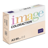 Image Coloraction