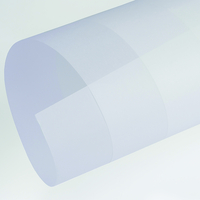 Curious Translucents Clear