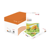 Xerox Excel